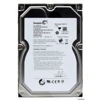 1TB SATA (Seagate ST31000524AS)