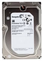 2TB SATA (Seagate ST2000NM0033)